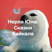 Логотип станции «Нерпа Юма: Сказки Байкала»