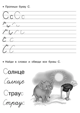 Прописи букв: письменный алфавит от А до Я, буква «С» — лист 25
