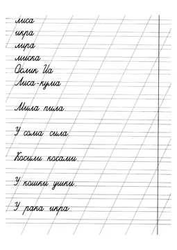 Прописи: слоги, слова и предложения — лист 22