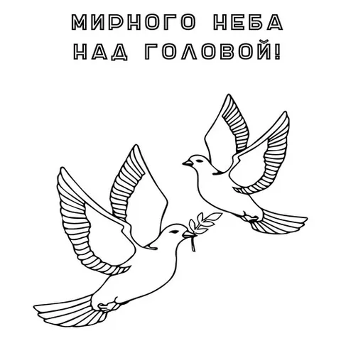 Раскраска «23 февраля - Мирного неба над головой»