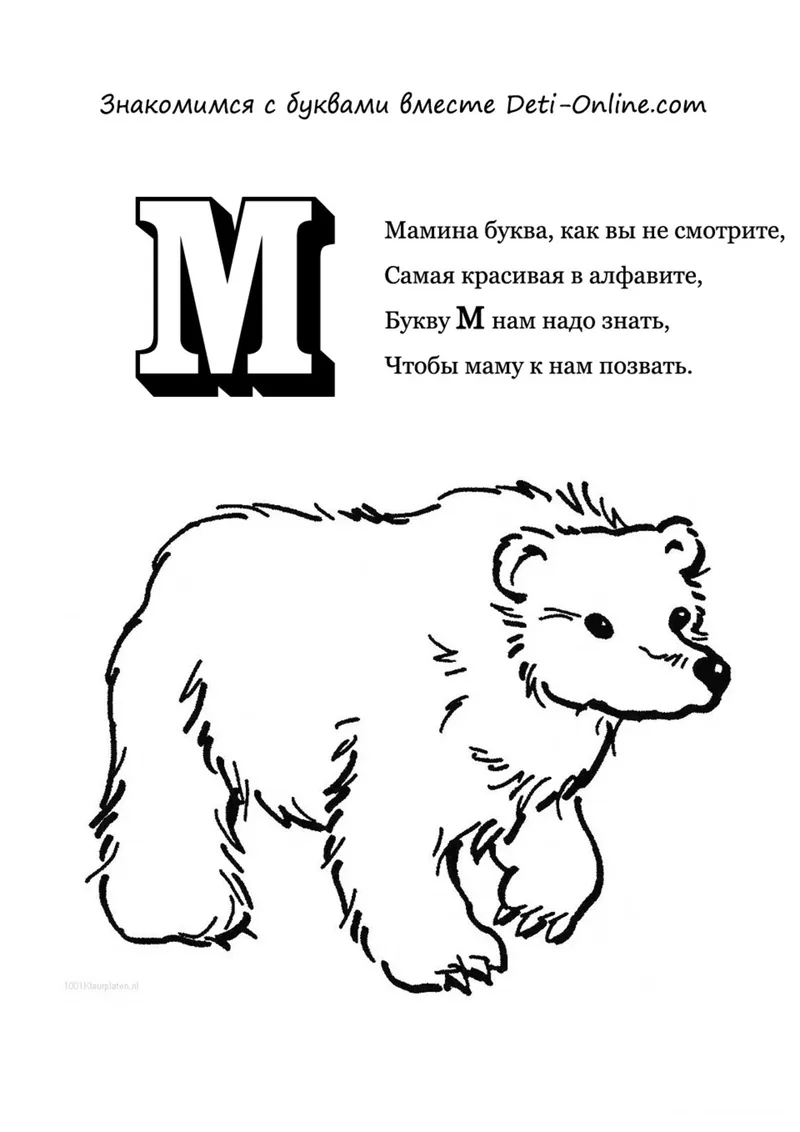 Раскраска «Буква М - Медведь» — чёрно-белый контурный рисунок для печати