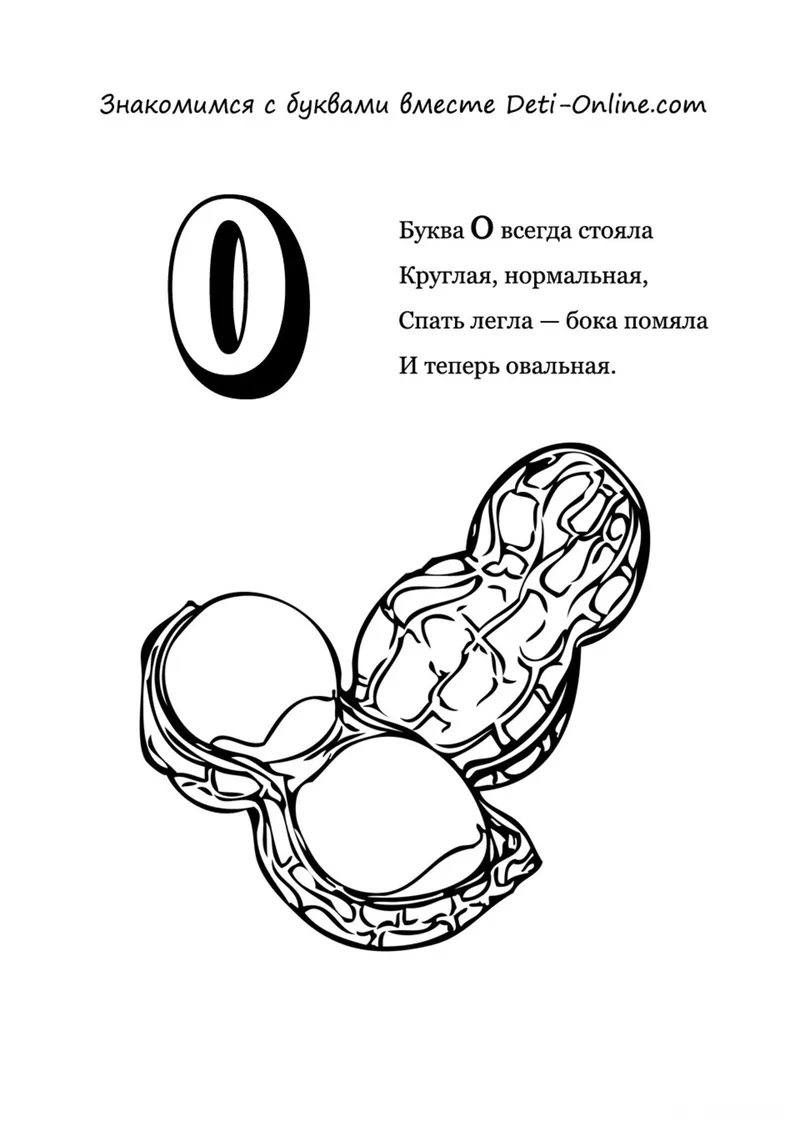Раскраска «Буква О - Орехи» — чёрно-белый контурный рисунок для печати
