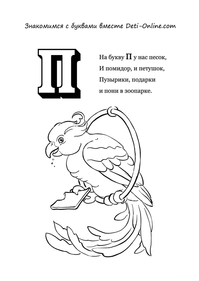 Раскраска «Буква П - Попугай» — чёрно-белый контурный рисунок для печати