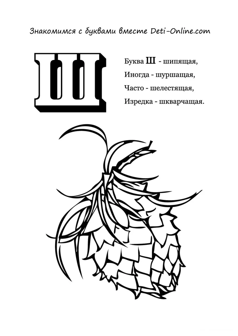 Раскраска «Буква Ш - Шишка» — чёрно-белый контурный рисунок для печати