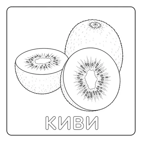 Раскраска «Киви»