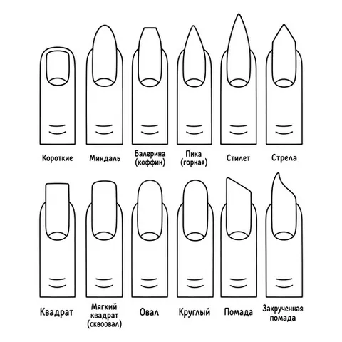 Раскраска «Много форм ногтей»