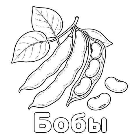 Раскраска «Бобы»