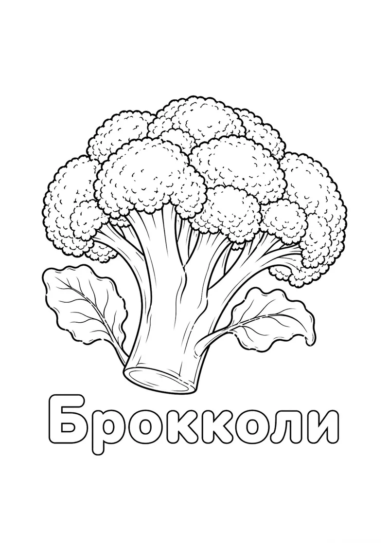 Раскраска «Брокколи» — чёрно-белый контурный рисунок для печати