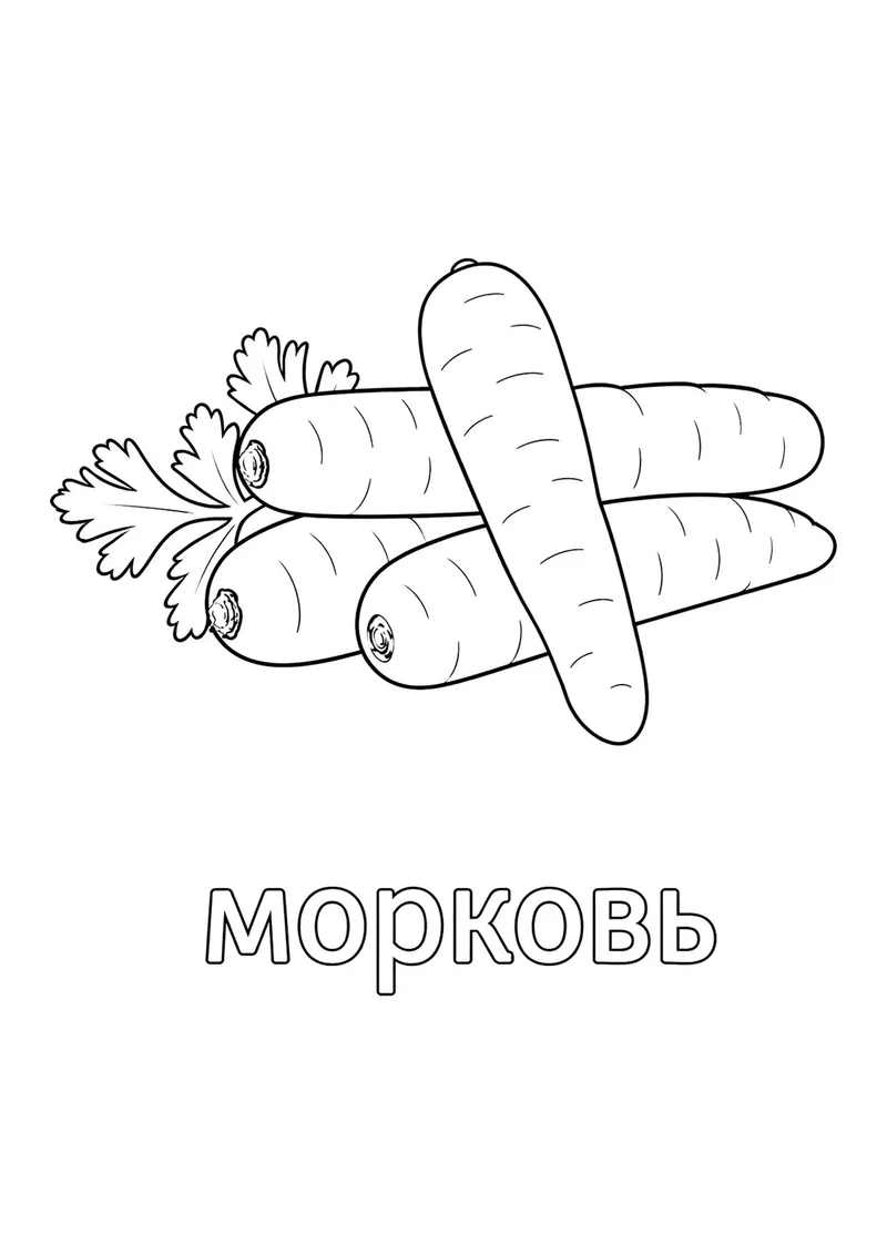 Раскраска «Четыре морковки» — чёрно-белый контурный рисунок для печати