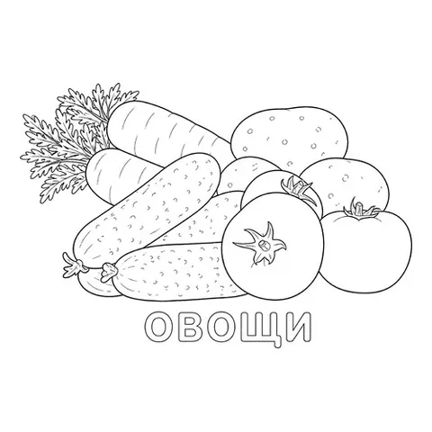 Раскраска «Любимые овощи»