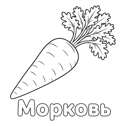 Раскраска «Морковь»