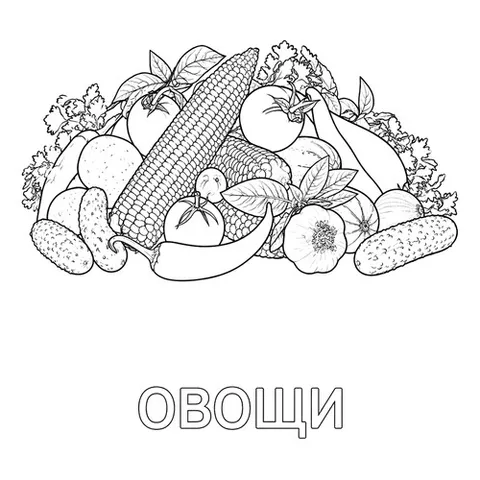 Раскраска «Овощи»
