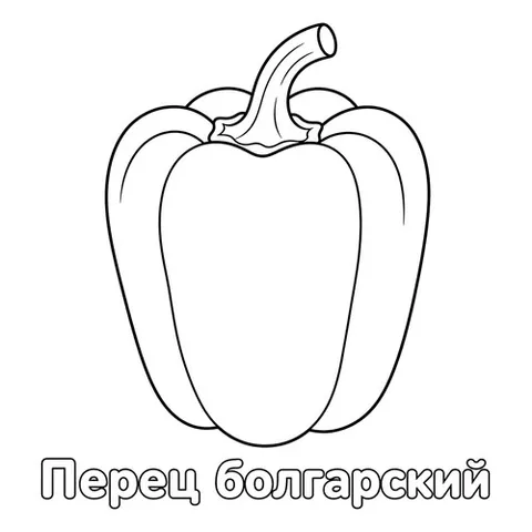 Раскраска «Перец болгарский»