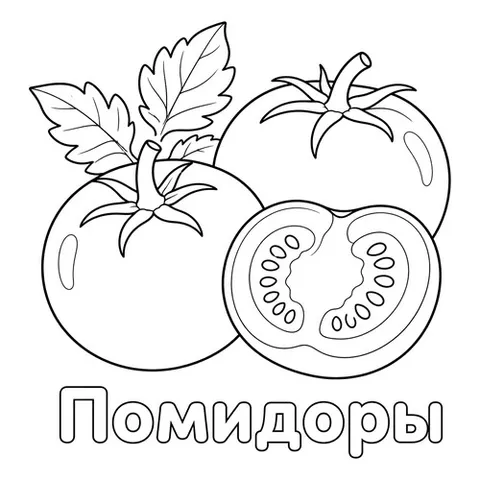 Раскраска «Помидоры»