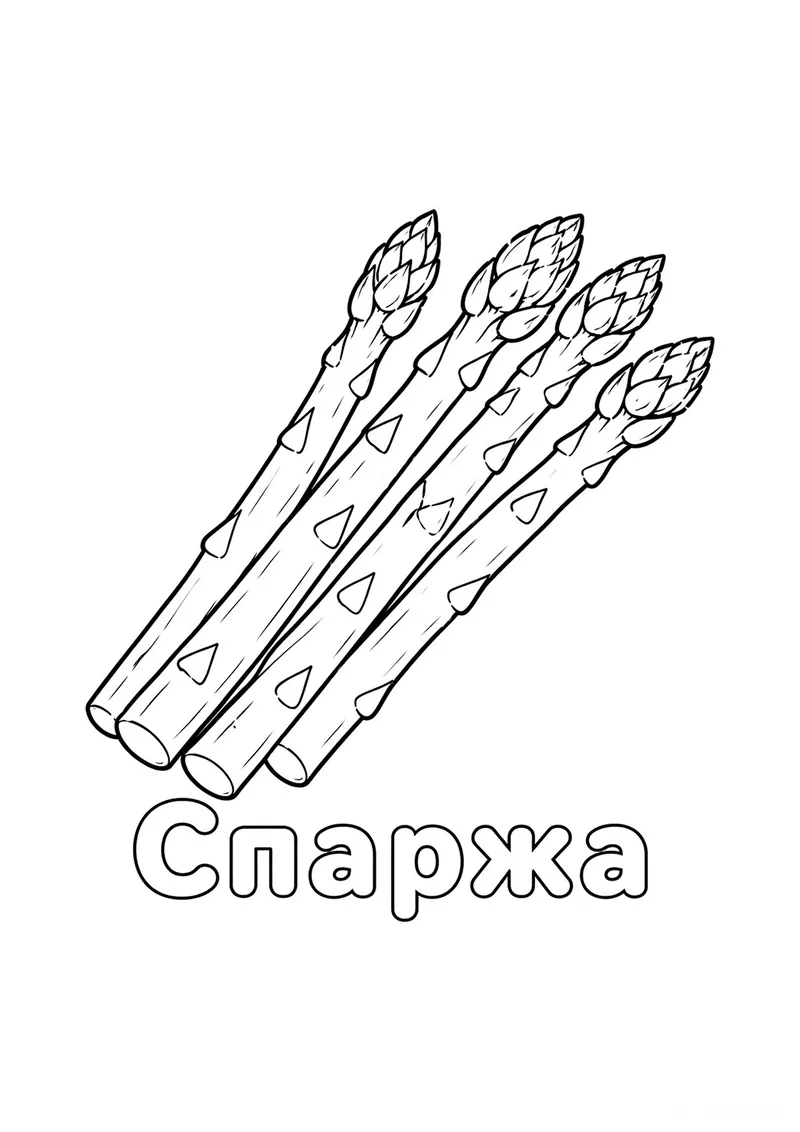 Раскраска «Спаржа» — чёрно-белый контурный рисунок для печати