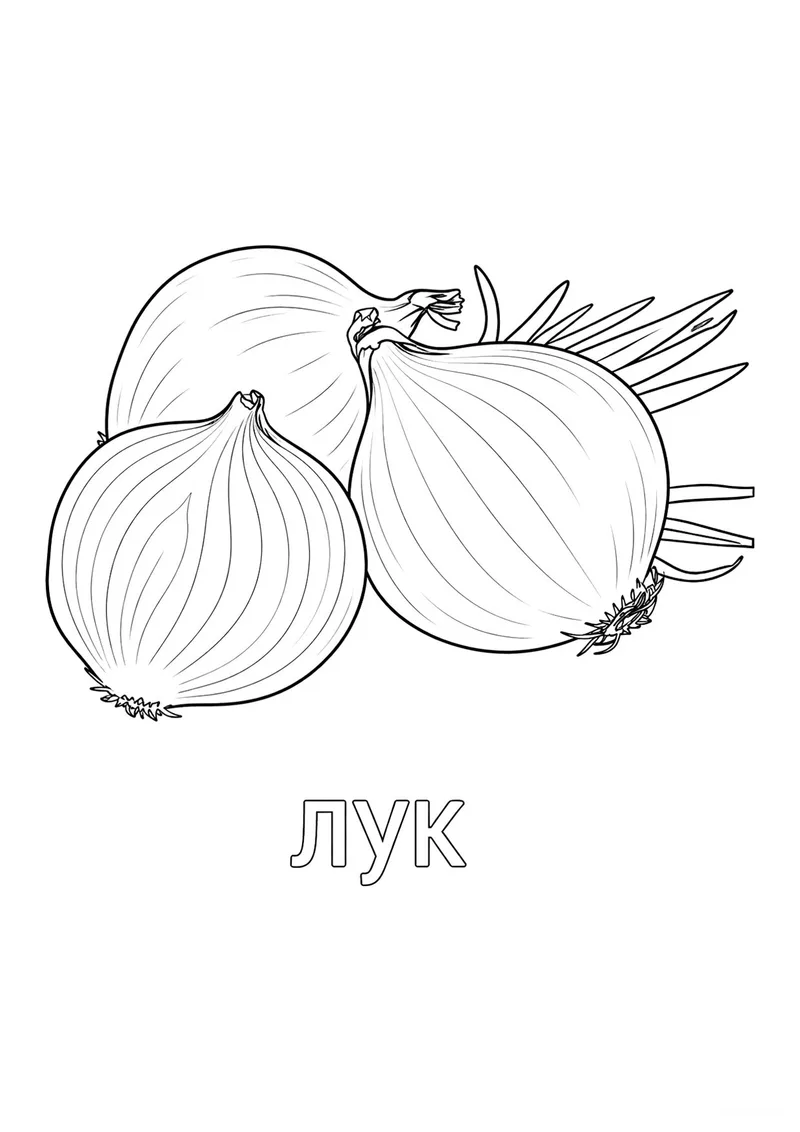 Раскраска «Три луковицы» — чёрно-белый контурный рисунок для печати