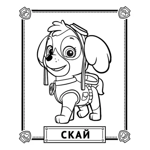 Раскраска «Скай»