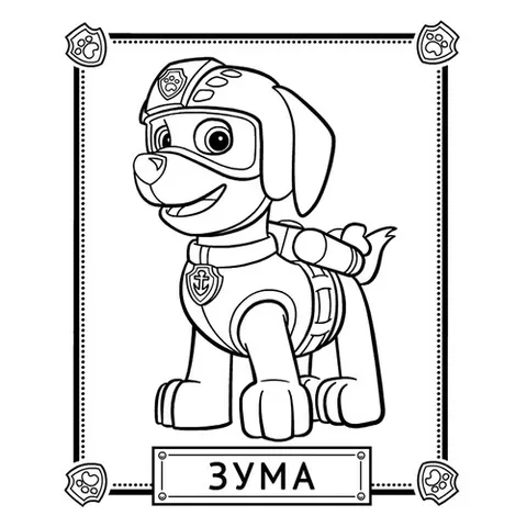 Раскраска «Зума»