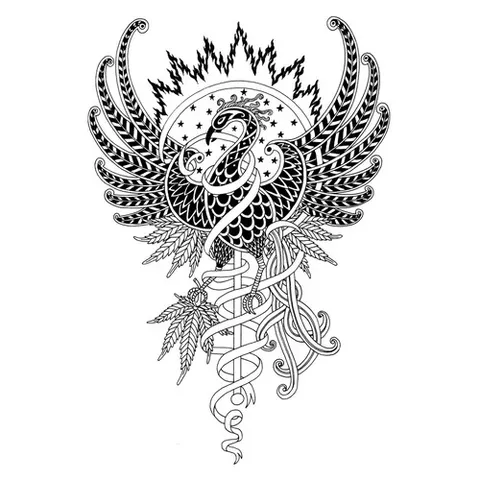 Раскраска «Жар-птица»