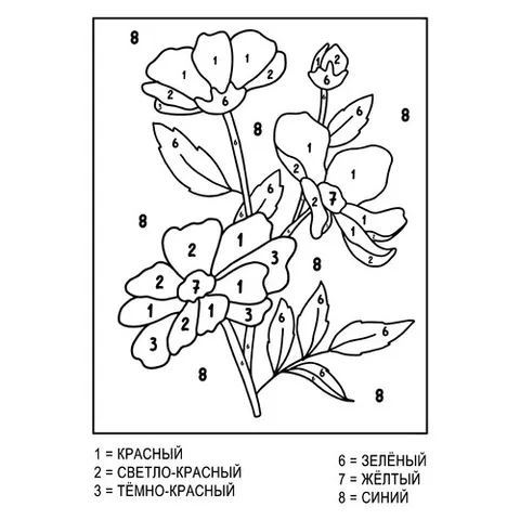 Раскраска «Мак по номерам»