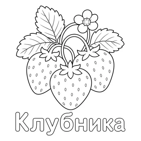 Раскраска «Ягода клубника»