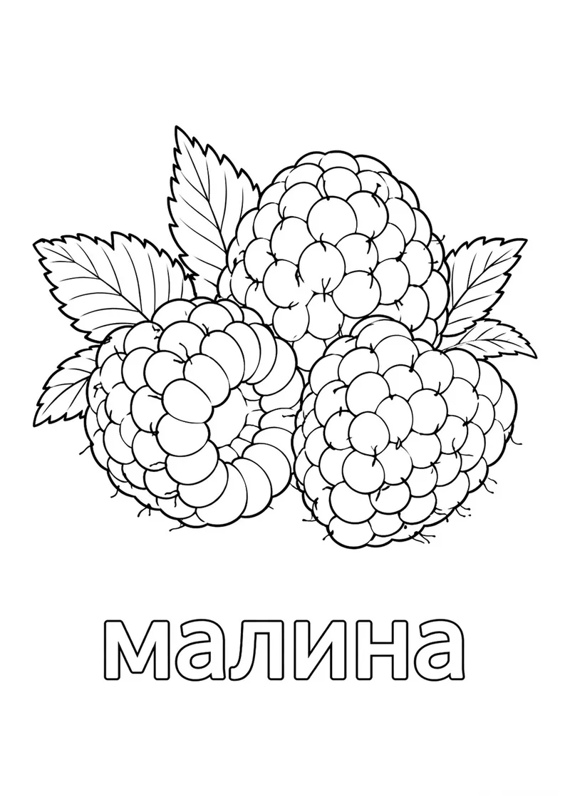 Раскраска «Ягода малина» — чёрно-белый контурный рисунок для печати