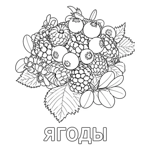 Раскраска «Ягоды для детей»